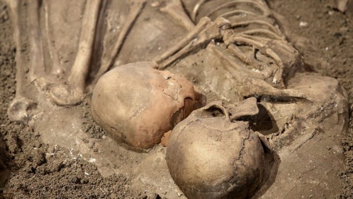 Why Scientists Debate the Shrinking Human Brain