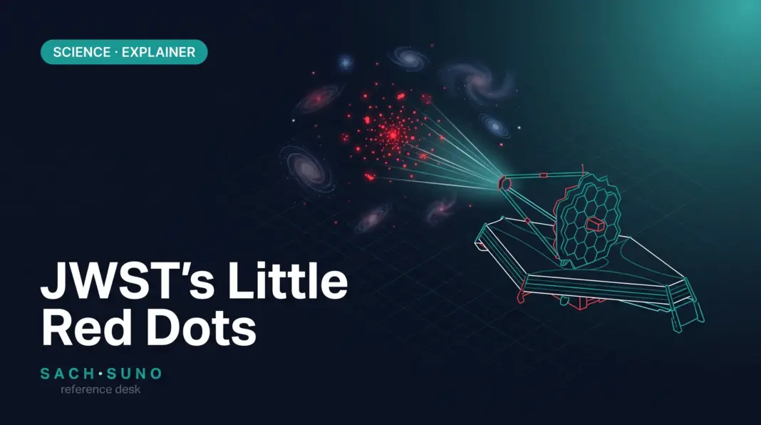 JWST Little Red Dots: What an X-Ray Dot May Reveal