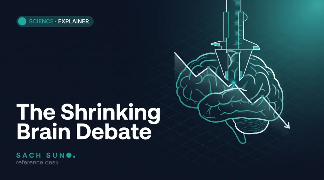 Why Scientists Debate the Shrinking Human Brain